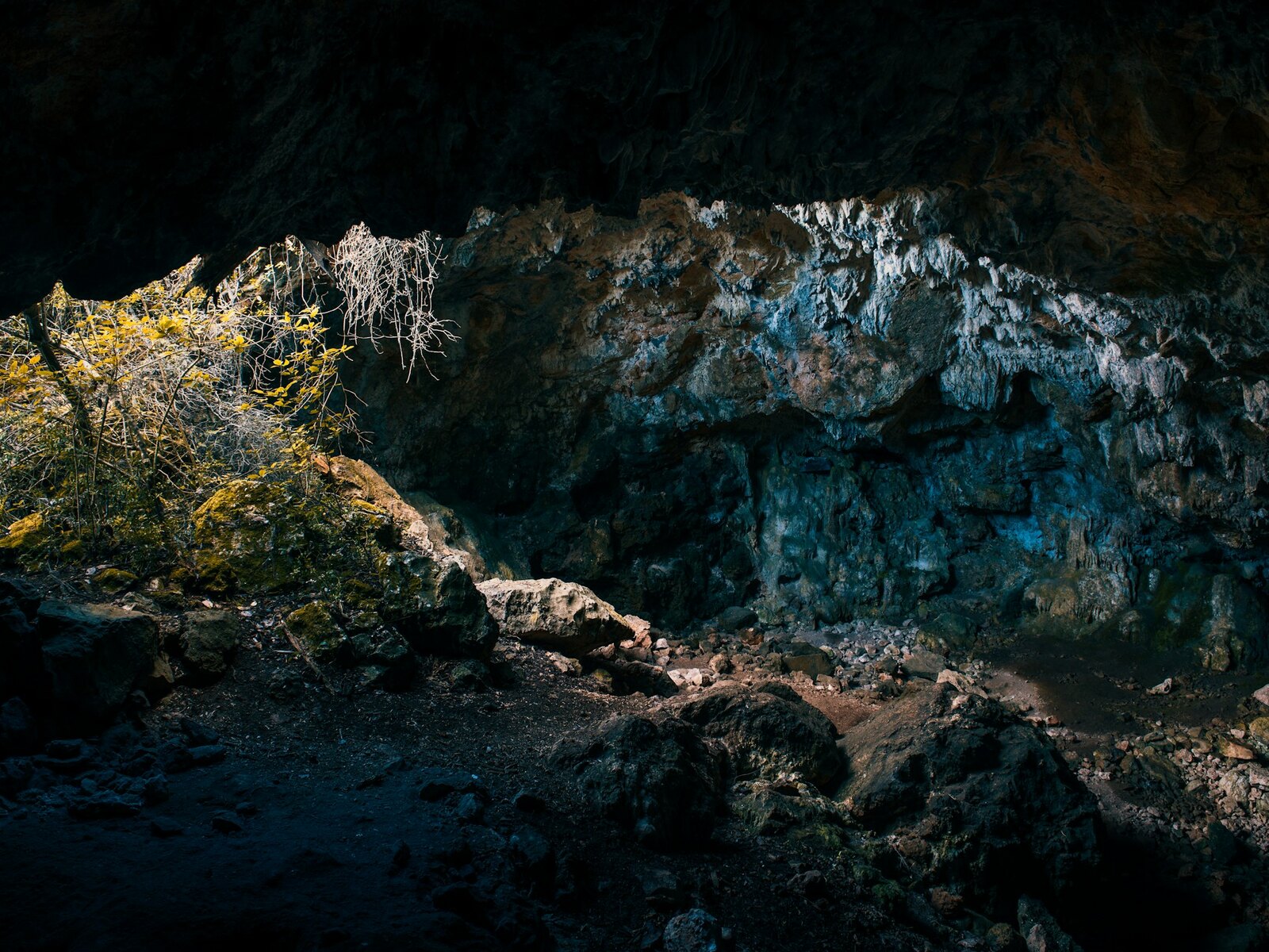 The show caverns